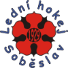 斯拉沃伊